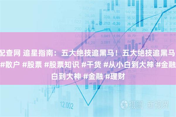 配查网 追星指南：五大绝技追黑马！五大绝技追黑马！#财经 #散户 #股票 #股票知识 #干货 #从小白到大神 #金融 #理财