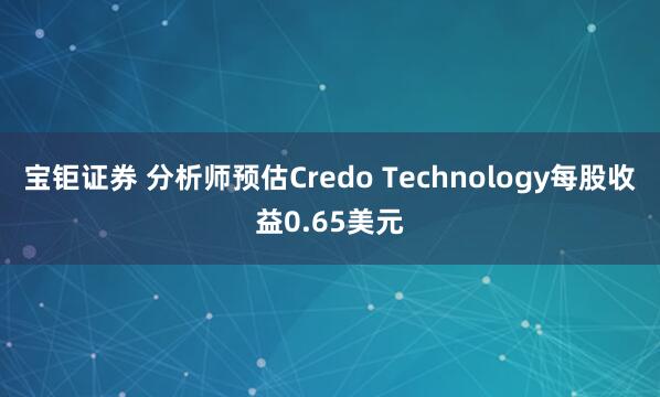 宝钜证券 分析师预估Credo Technology每股收益0.65美元