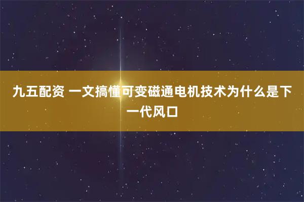 九五配资 一文搞懂可变磁通电机技术为什么是下一代风口
