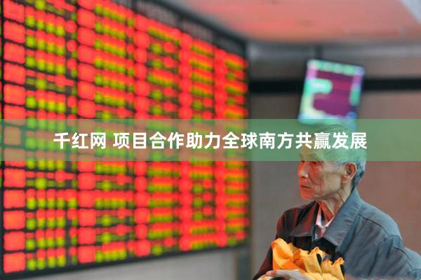 千红网 项目合作助力全球南方共赢发展