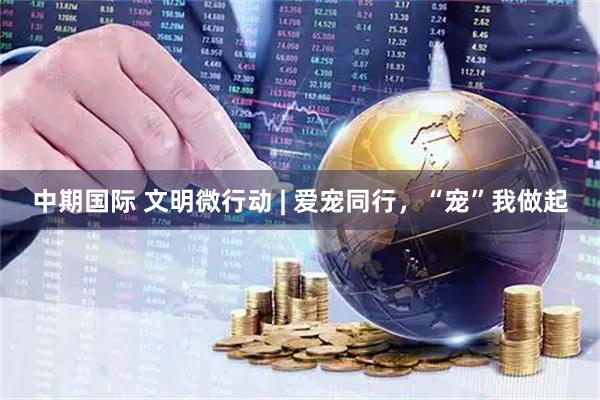 中期国际 文明微行动 | 爱宠同行，“宠”我做起