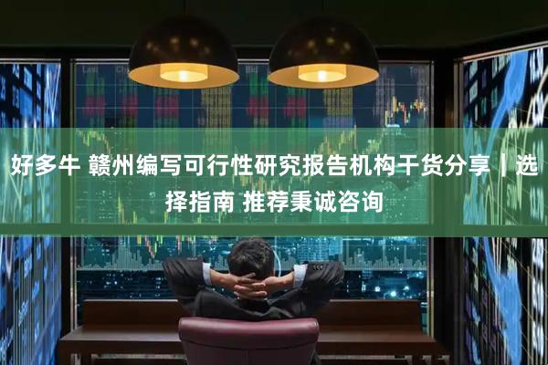 好多牛 赣州编写可行性研究报告机构干货分享｜选择指南 推荐秉诚咨询