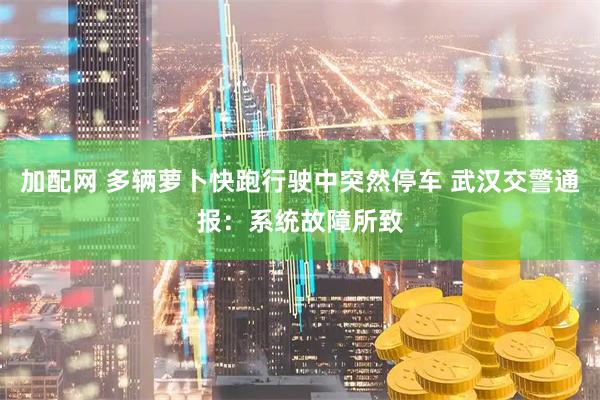 加配网 多辆萝卜快跑行驶中突然停车 武汉交警通报：系统故障所致