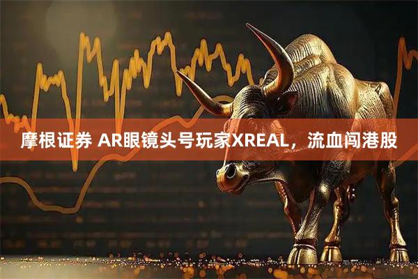 摩根证券 AR眼镜头号玩家XREAL，流血闯港股