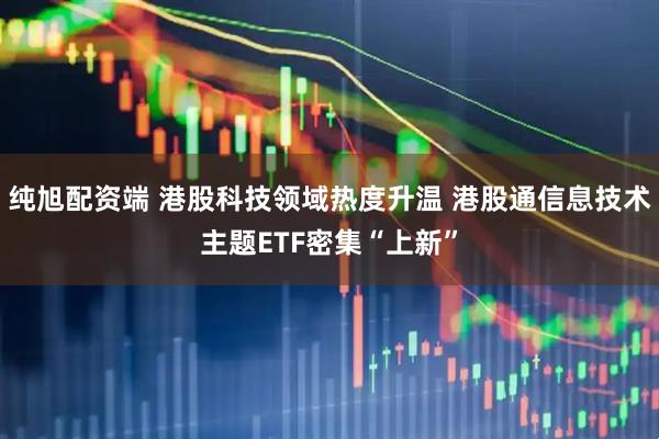 纯旭配资端 港股科技领域热度升温 港股通信息技术主题ETF密集“上新”