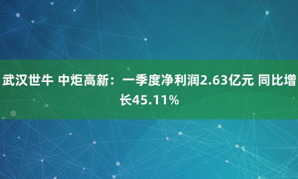 武汉世牛 中炬高新：一季度净利润2.63亿元 同比增长45.11%