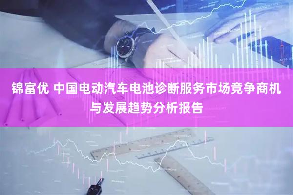 锦富优 中国电动汽车电池诊断服务市场竞争商机与发展趋势分析报告