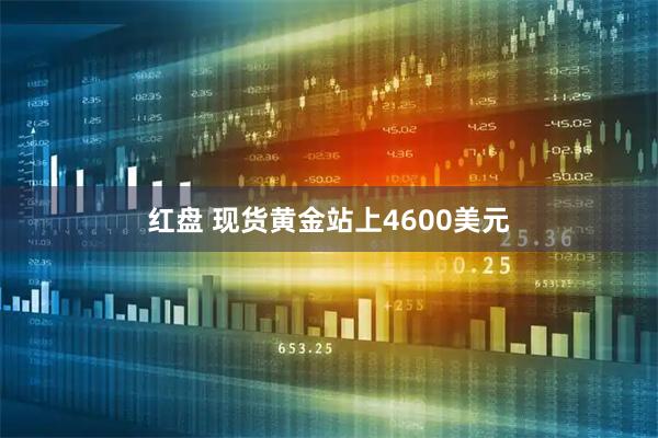 红盘 现货黄金站上4600美元