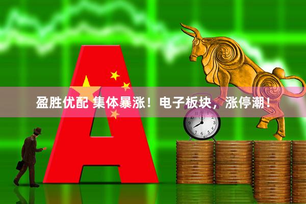 盈胜优配 集体暴涨！电子板块，涨停潮！