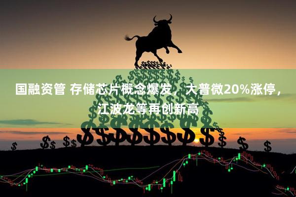 国融资管 存储芯片概念爆发，大普微20%涨停，江波龙等再创新高