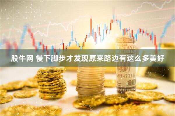 股牛网 慢下脚步才发现原来路边有这么多美好