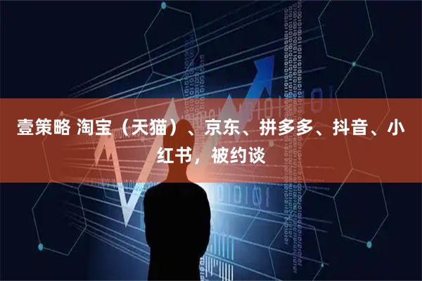 壹策略 淘宝（天猫）、京东、拼多多、抖音、小红书，被约谈