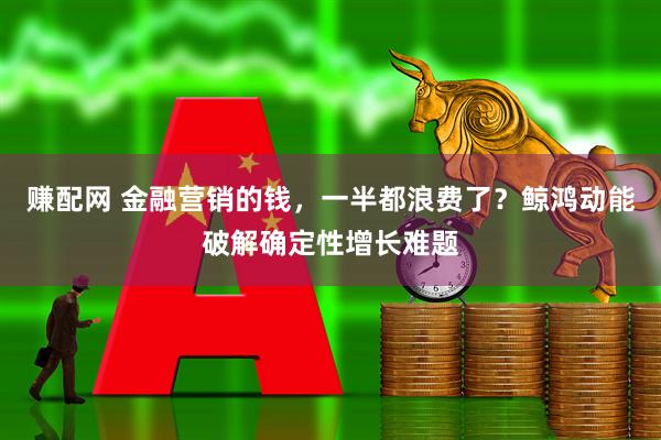 赚配网 金融营销的钱，一半都浪费了？鲸鸿动能破解确定性增长难题
