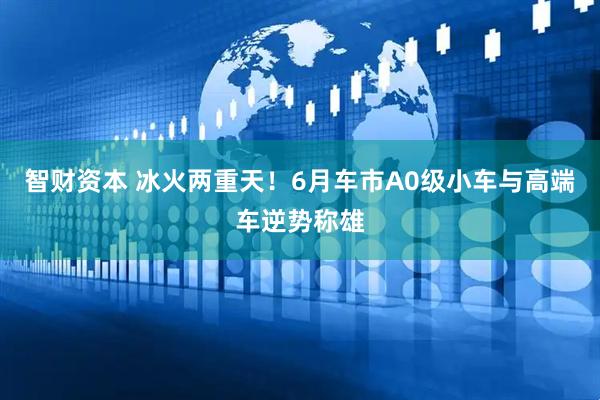 智财资本 冰火两重天！6月车市A0级小车与高端车逆势称雄