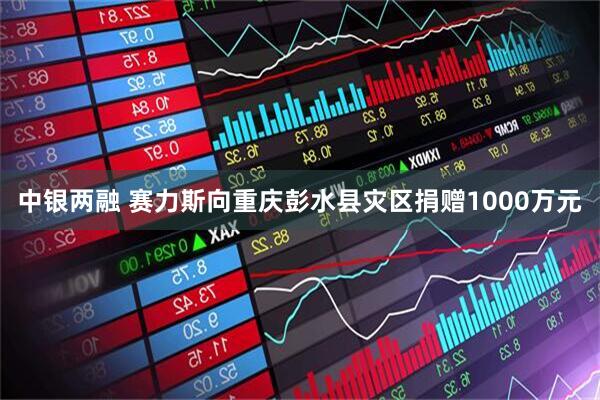 中银两融 赛力斯向重庆彭水县灾区捐赠1000万元
