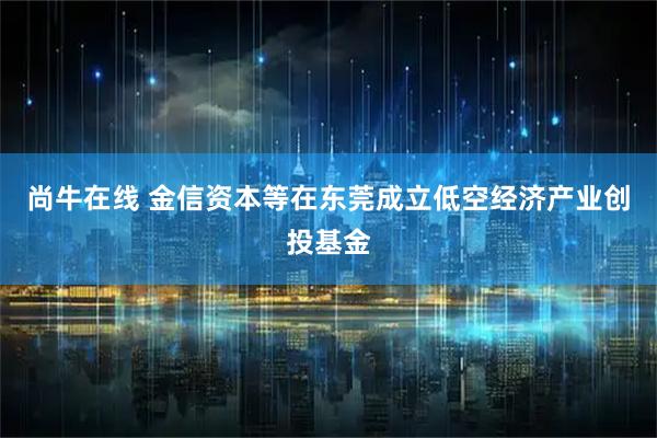 尚牛在线 金信资本等在东莞成立低空经济产业创投基金
