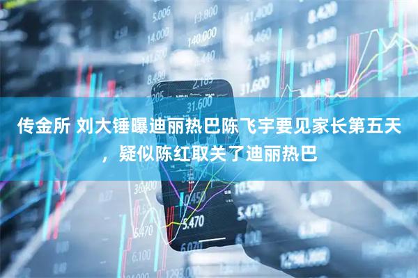 传金所 刘大锤曝迪丽热巴陈飞宇要见家长第五天，疑似陈红取关了迪丽热巴